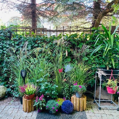 Uroczy Apartament Z Patio シュチェチン エクステリア 写真