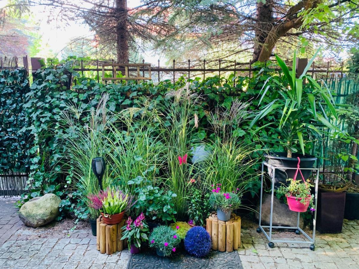 Uroczy Apartament Z Patio シュチェチン エクステリア 写真